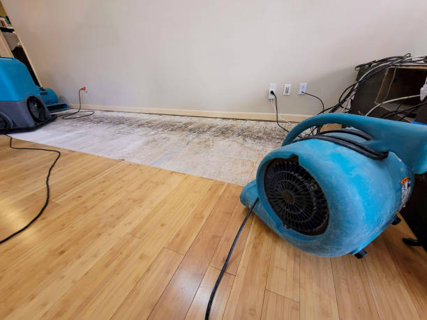 Professional Basement Flood Cleanup technician working in Southside, AL